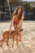 Laad de afbeelding in de Gallery-viewer, Image 14: Rio De Sol Bottom Bottom Maracai Essential