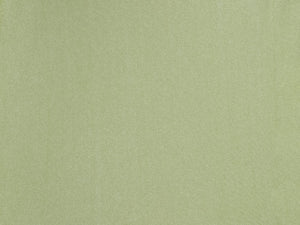 Top Oliva Bandeau-Nr